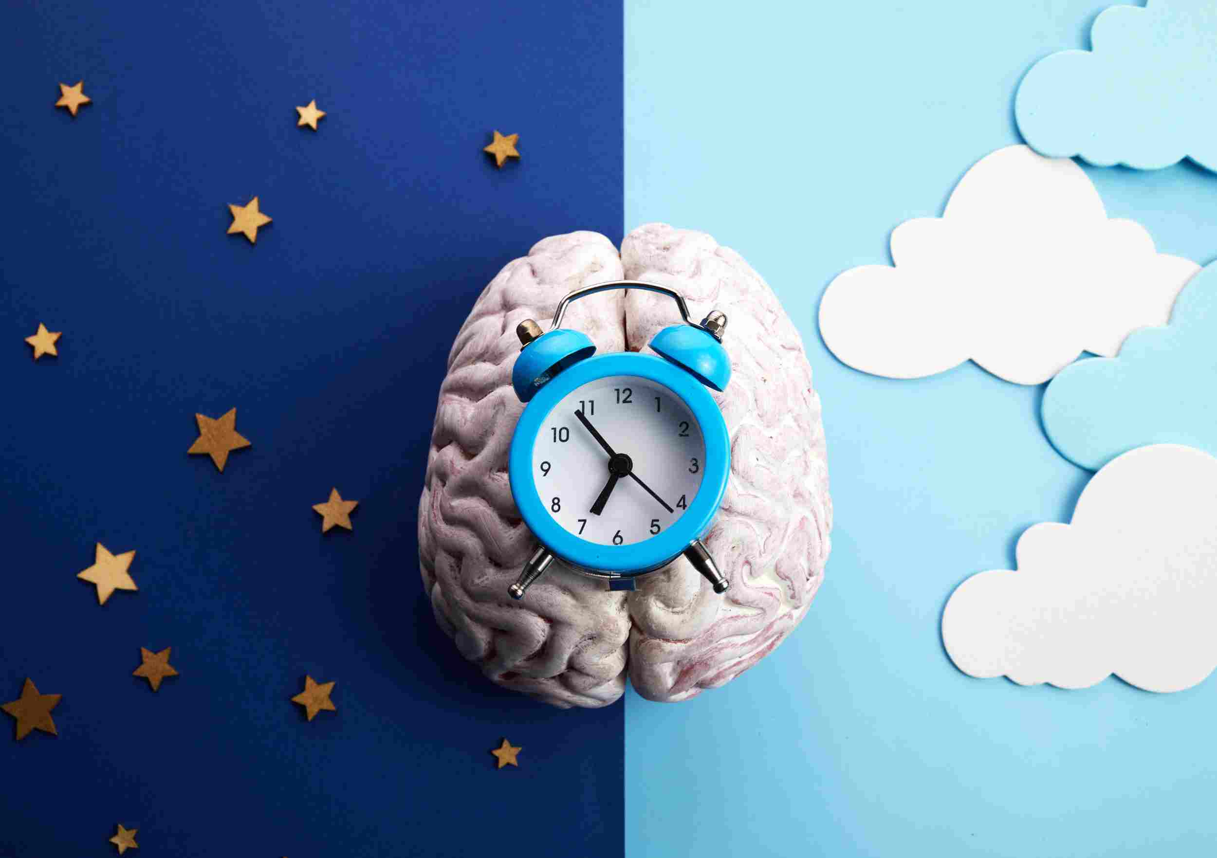 Half the photo is covered in stars to represent night and the other half in clouds to represent day. In the middle is a brain with a clock resting on it; all to represent daily routine.